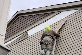 Best Vinyl Siding Installation  in National City, CA